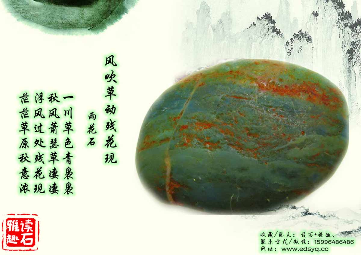 风吹草动残花现