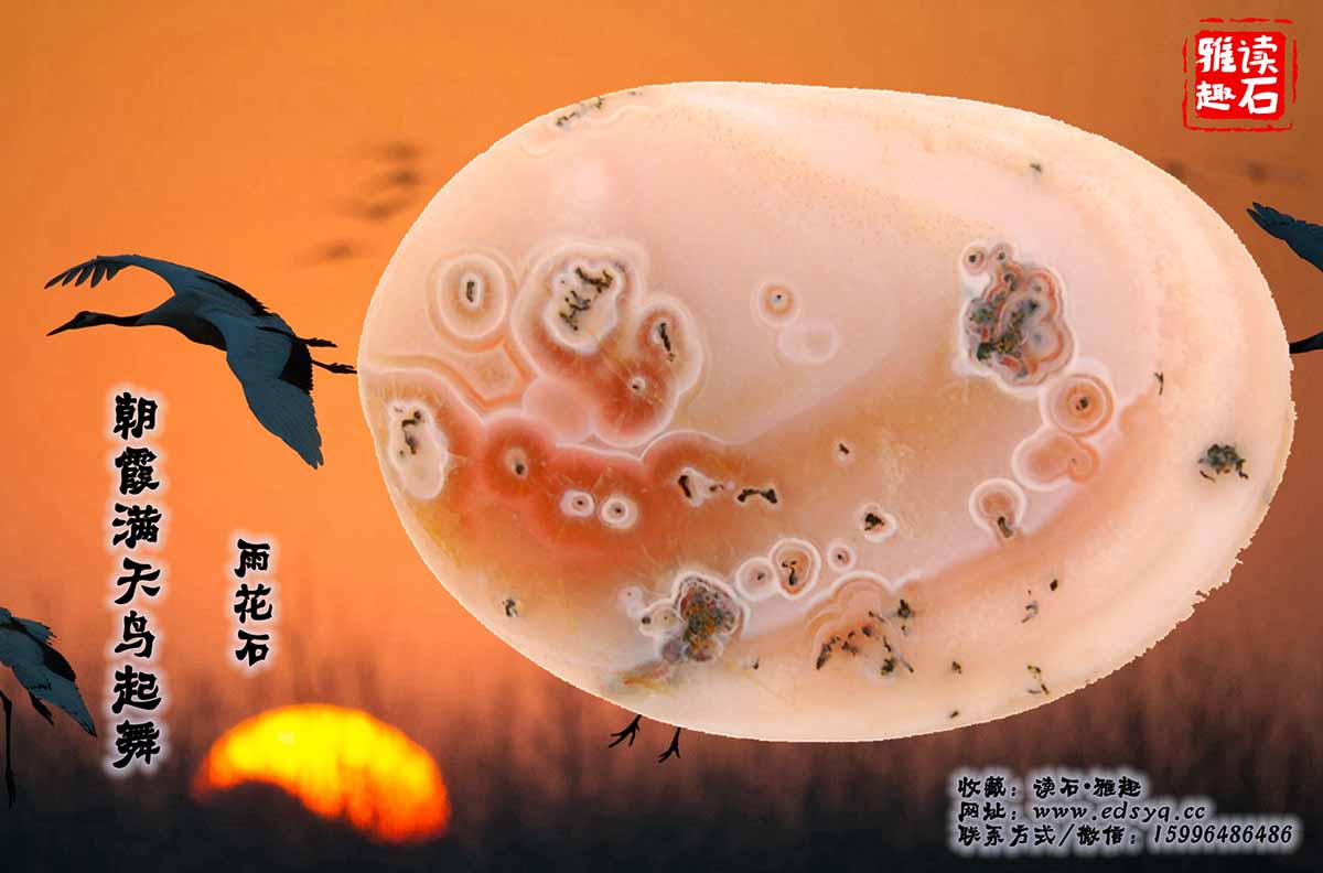 朝霞满天鸟起舞